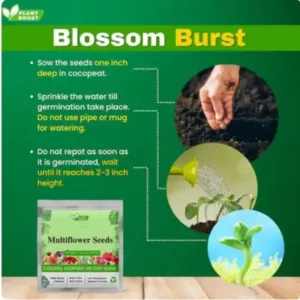 COMBO DEAL PLANT BOOST WITH FLOWER SEEDS PACK OF 2 ( default, OS )