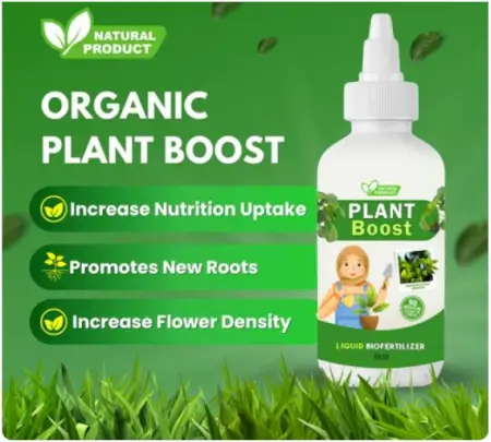 lBqWIvfTDQA8SgsjsI5IadKNicJRfaXPRcmYUu7E.webp COMBO DEAL PLANT BOOST WITH FLOWER SEEDS PACK OF 2 ( default, OS )