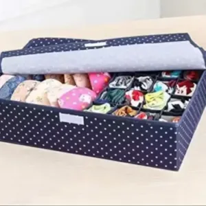 16 Grid Foldable Drawer Organizer – Innerwear Storage Box ( default, Standard )